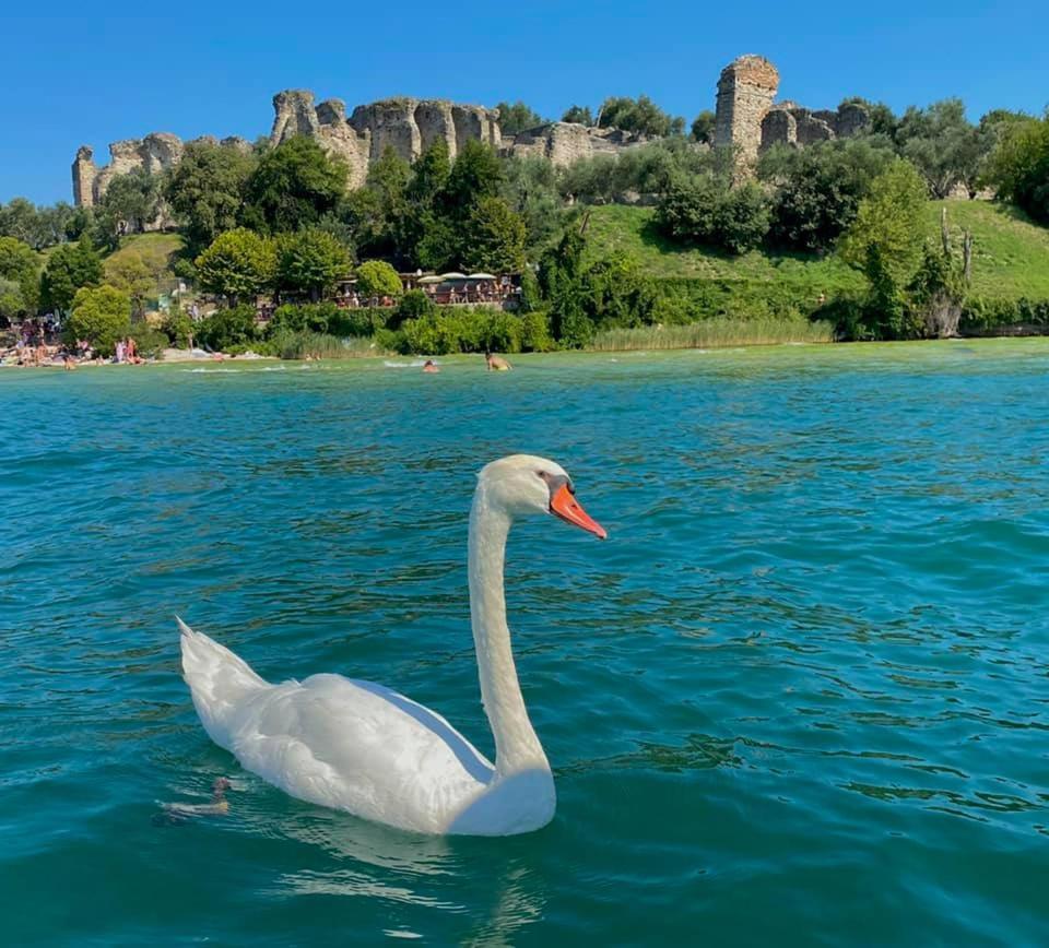 Appartamento Casa Vacanze Spiaggia D'Oro Дезенцано-дель-Гарда Экстерьер фото